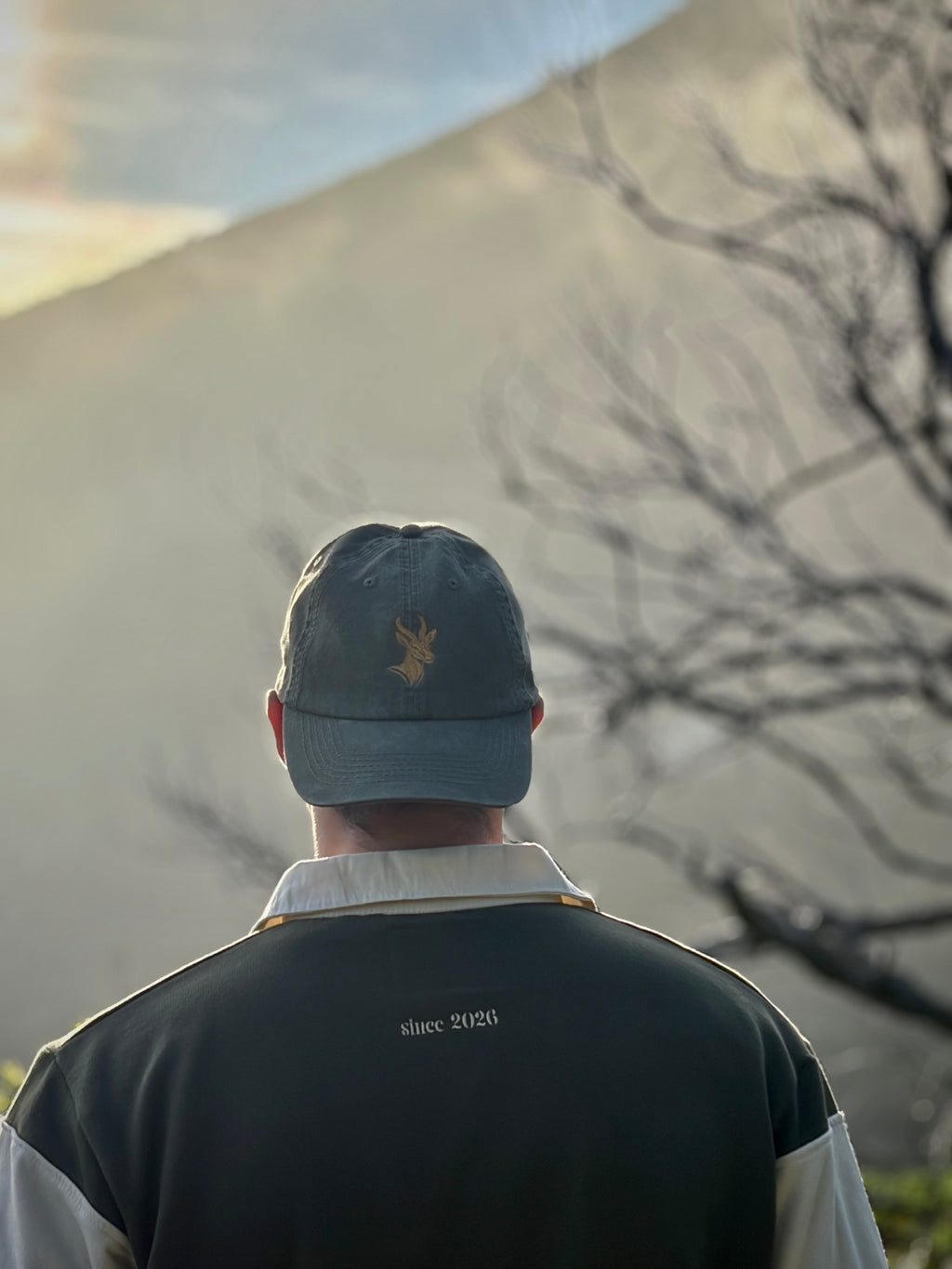 GREEN Curved Cap